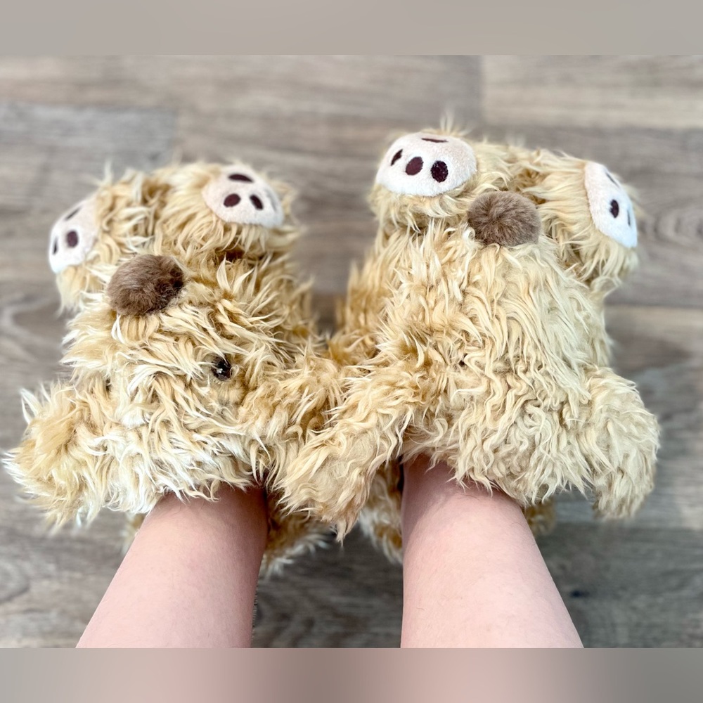 Brand New Cute Warm Indoor Slippers